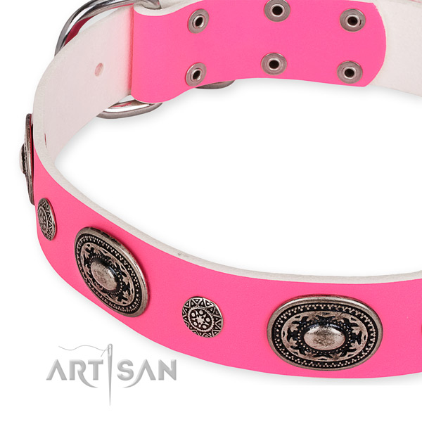 Leather dog collar with fashionable rust-proof embellishments
