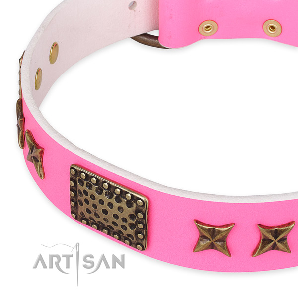 Full grain natural leather collar with rust-proof buckle for your attractive canine