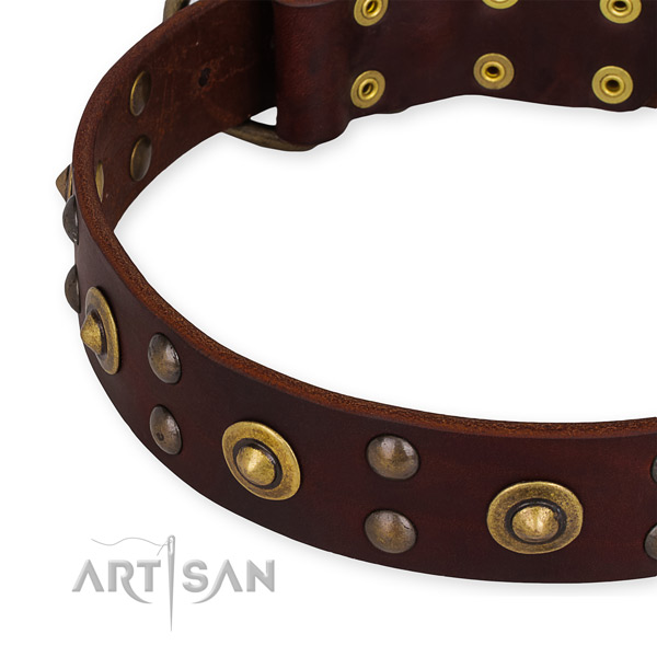 Genuine leather collar with reliable buckle for your beautiful pet