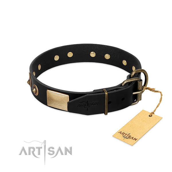 Reliable embellishments on basic training dog collar