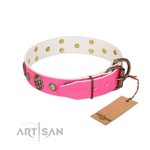 Rust-proof traditional buckle on genuine leather dog collar for your four-legged friend