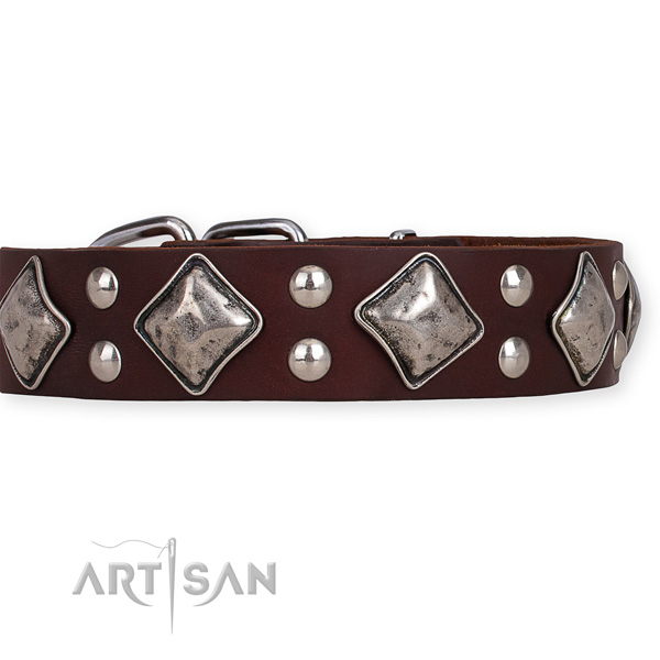 Natural leather dog collar with extraordinary reliable decorations