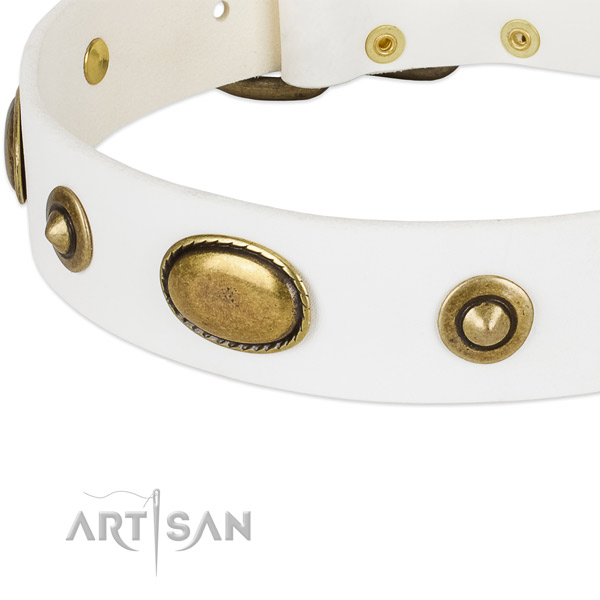 Reliable embellishments on leather dog collar for your four-legged friend