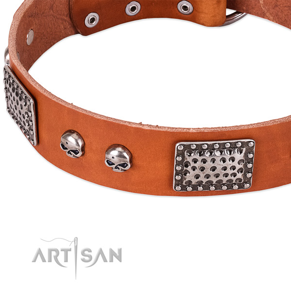 Strong adornments on full grain natural leather dog collar for your dog