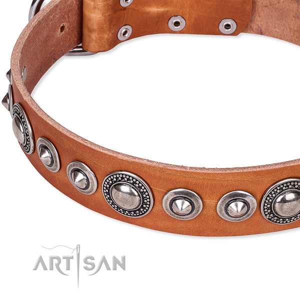 Comfortable wearing studded dog collar of high quality full grain genuine leather