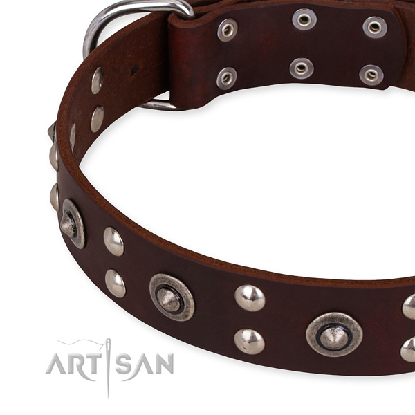 Full grain natural leather collar with corrosion resistant fittings for your attractive dog