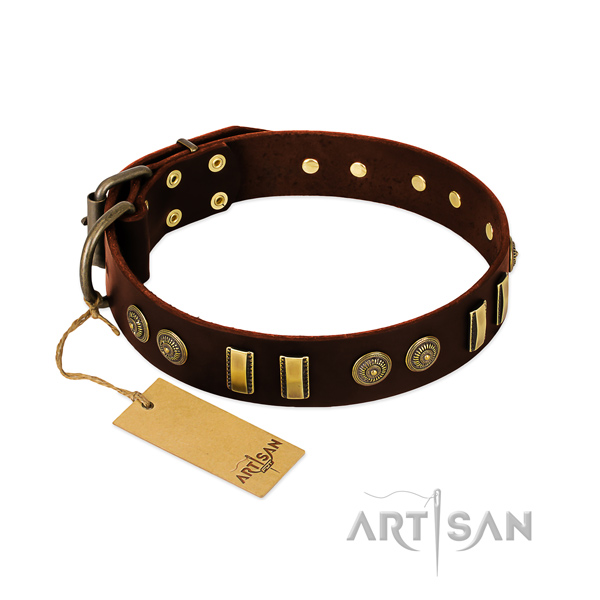 Rust-proof decorations on natural leather dog collar for your canine