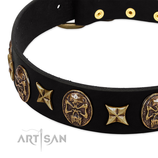 Corrosion proof studs on full grain leather dog collar for your pet