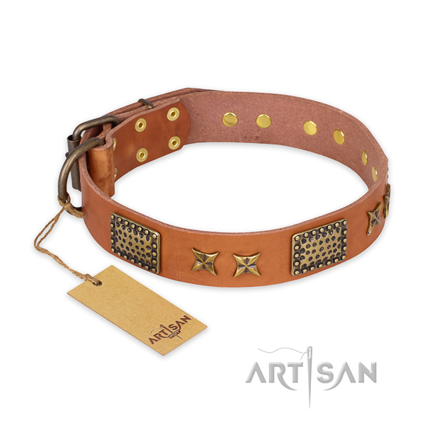 Handmade leather dog collar with durable traditional buckle