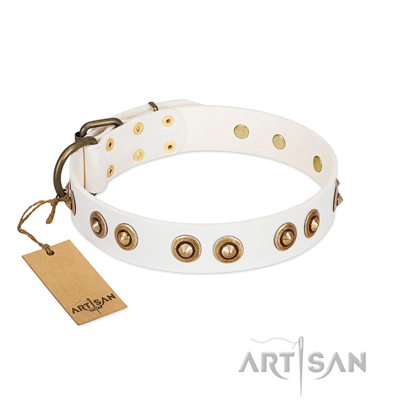 Handmade natural leather collar for your doggie