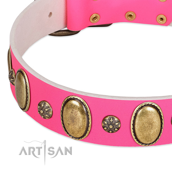 Durable full grain genuine leather dog collar with strong fittings