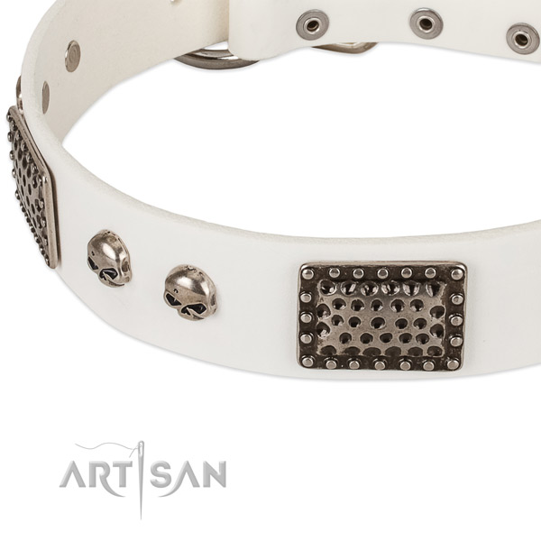 Corrosion resistant decorations on natural genuine leather dog collar for your canine
