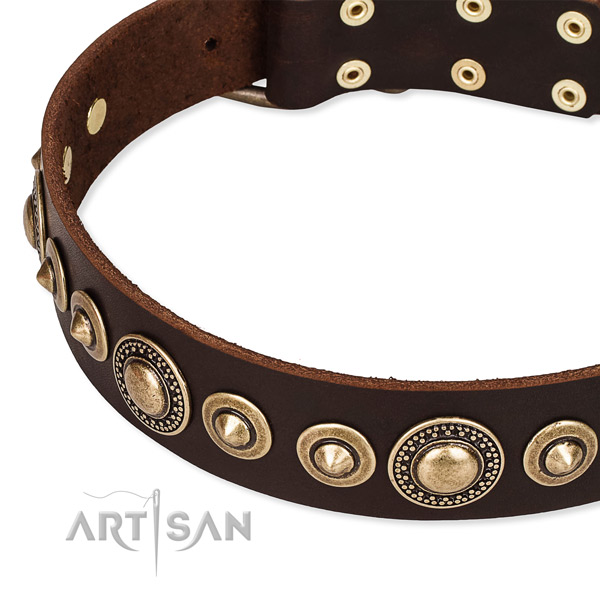 Top notch leather dog collar made for your impressive four-legged friend