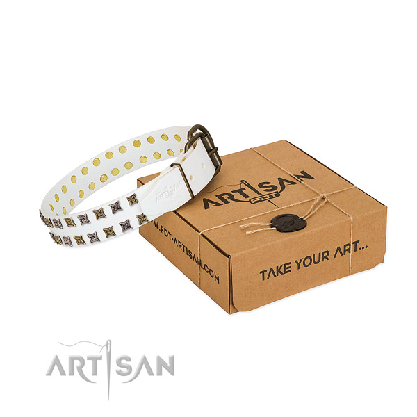 Leather collar with stylish embellishments for your canine
