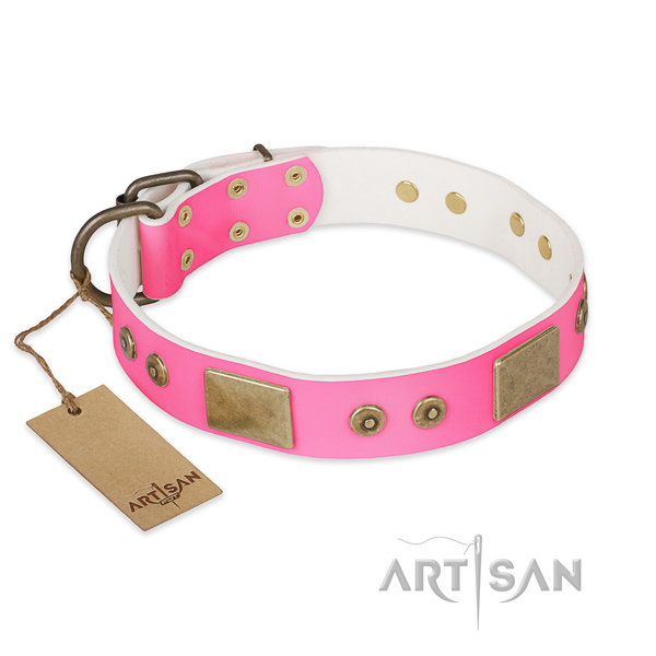 Easy wearing full grain leather dog collar for stylish walking your dog