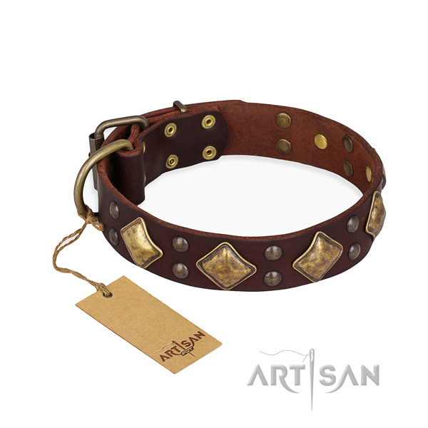 Daily walking exquisite dog collar with corrosion resistant traditional buckle