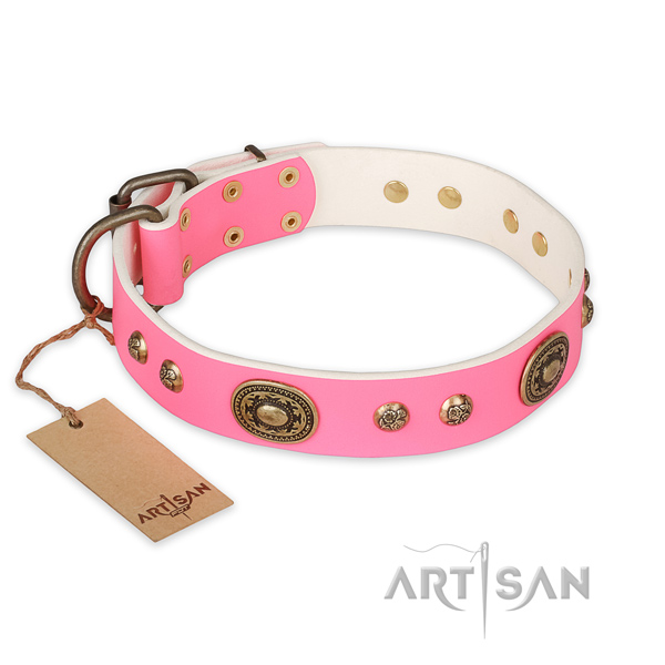 Exceptional natural genuine leather dog collar for everyday walking