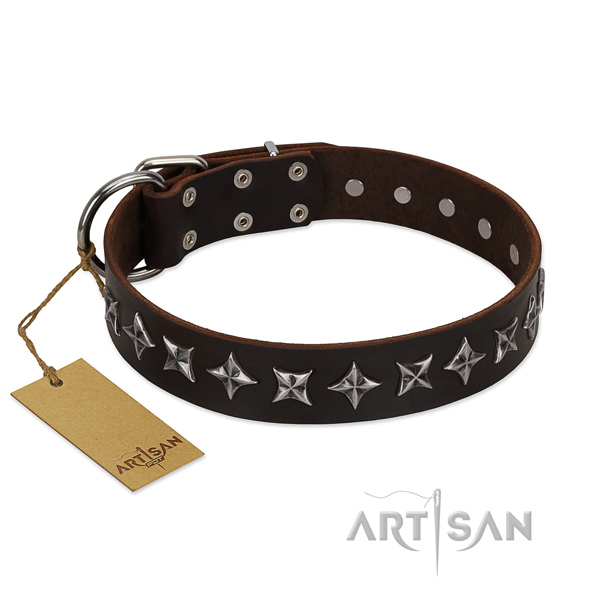 Handy use dog collar of durable full grain genuine leather with studs