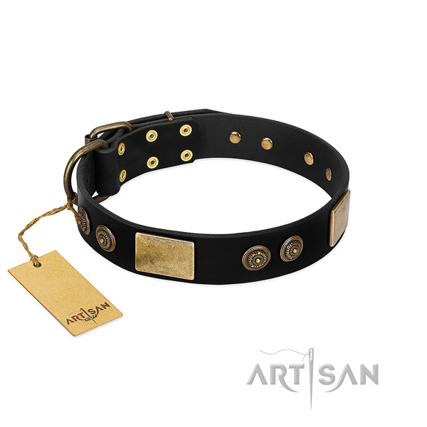 Rust-proof adornments on full grain leather dog collar for your pet