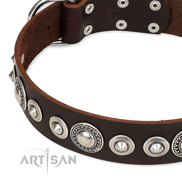 Basic training studded dog collar of high quality full grain leather