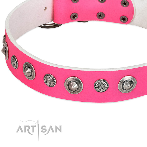 Genuine leather collar with rust resistant traditional buckle for your beautiful four-legged friend
