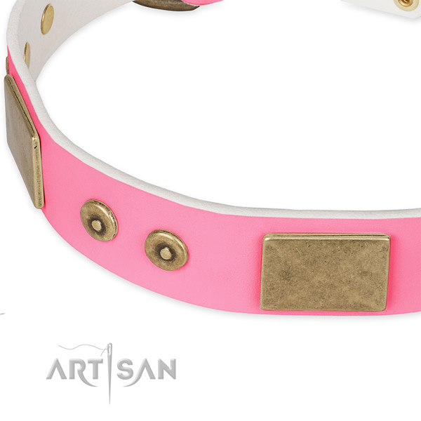 Full grain natural leather dog collar with embellishments for everyday walking