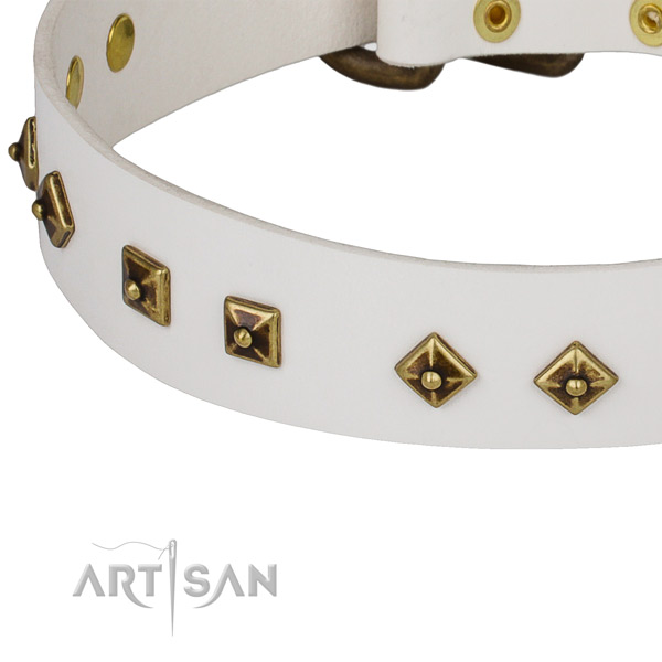 Significant genuine leather collar for your attractive doggie