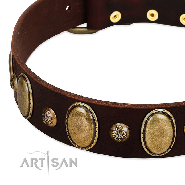 Full grain leather dog collar with trendy embellishments