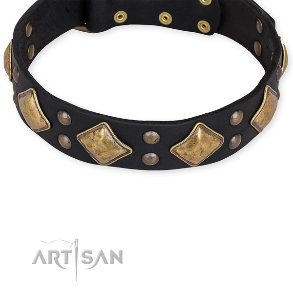 Leather dog collar with top notch strong embellishments