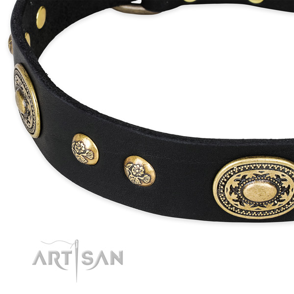 Handcrafted genuine leather collar for your handsome pet