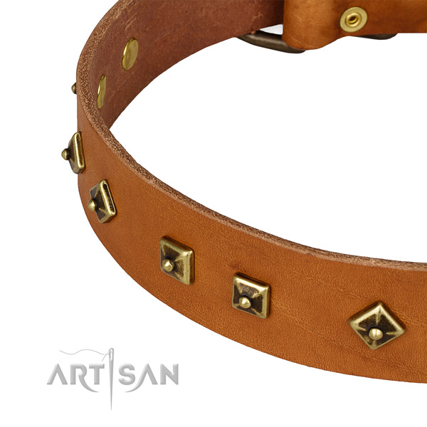 Remarkable leather collar for your lovely pet