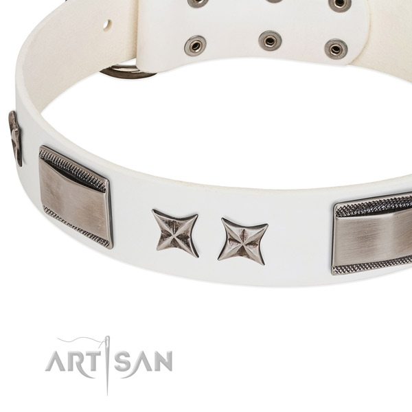 Soft full grain leather dog collar with reliable traditional buckle
