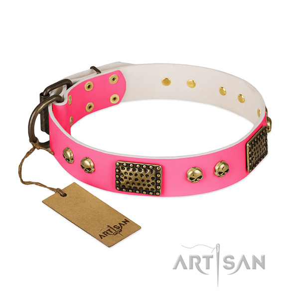 Easy wearing leather dog collar for stylish walking your dog