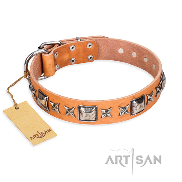 Basic training dog collar of strong full grain genuine leather with embellishments