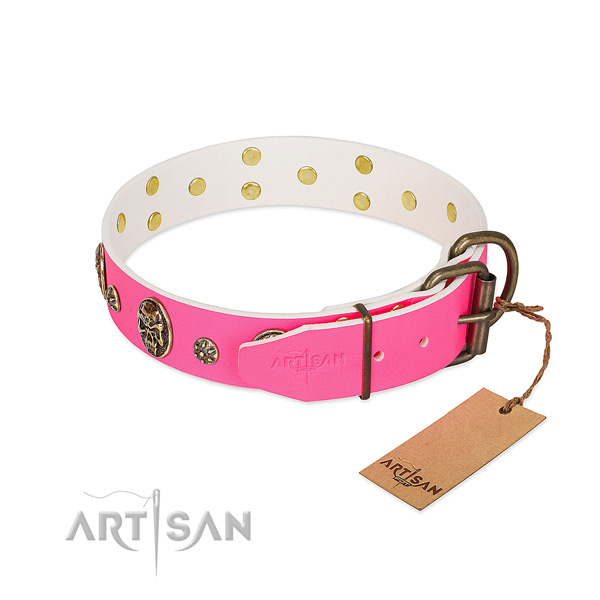 Rust-proof fittings on genuine leather collar for basic training your doggie