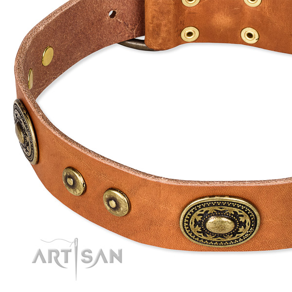 Leather dog collar made of quality material with adornments