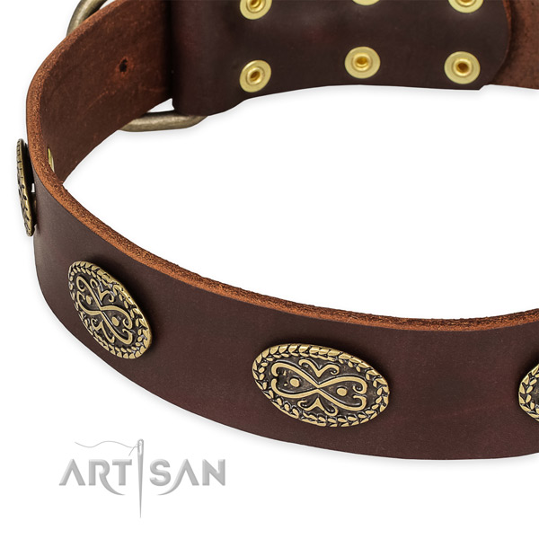Stunning full grain leather collar for your lovely doggie