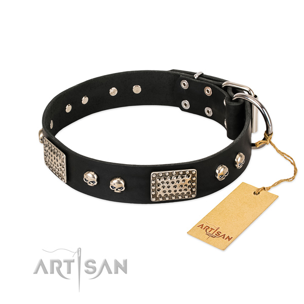 Easy wearing full grain leather dog collar for basic training your dog