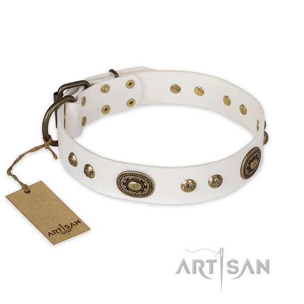 Unusual leather dog collar for easy wearing