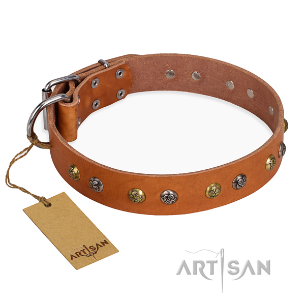 Handy use fine quality dog collar with strong hardware