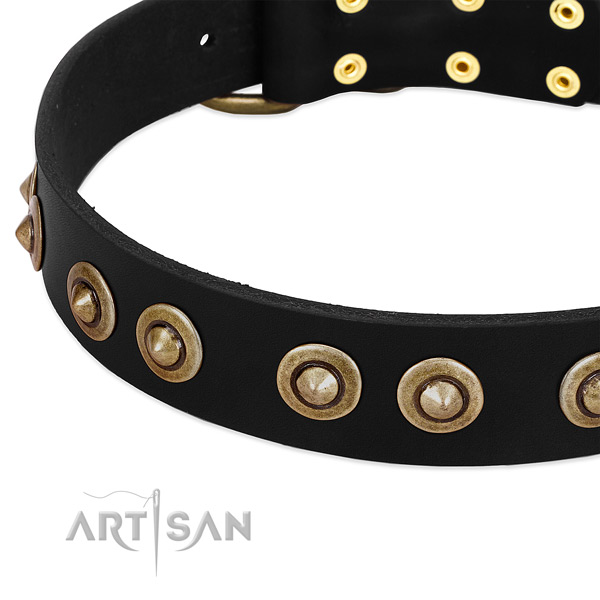Rust resistant buckle on full grain leather dog collar for your canine