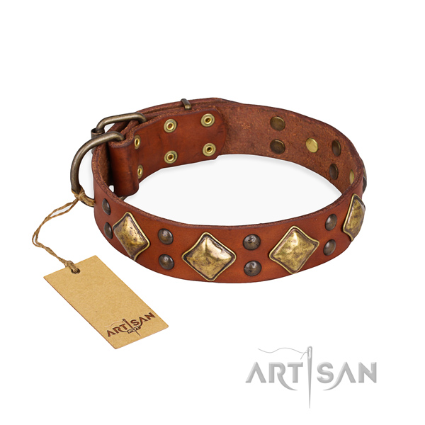 Everyday walking fine quality dog collar with durable buckle