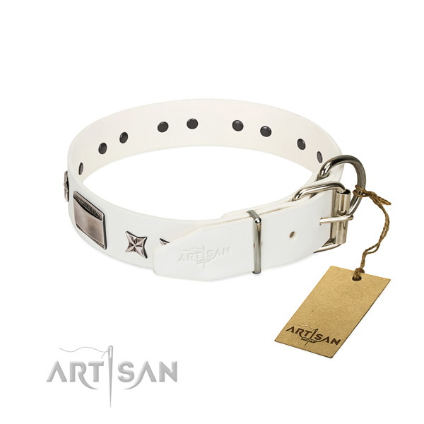 Inimitable collar of genuine leather for your impressive dog