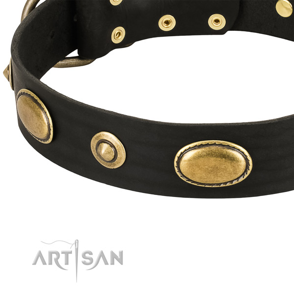 Strong fittings on leather dog collar for your canine