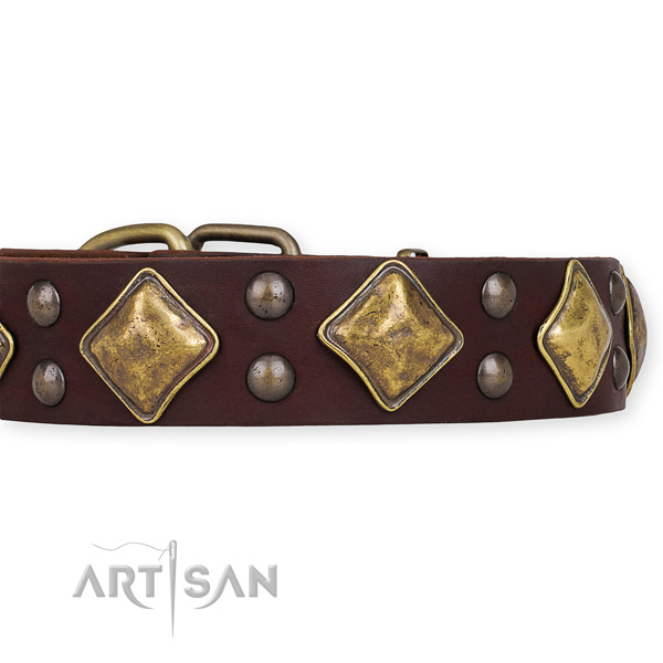 Genuine leather dog collar with awesome rust-proof adornments