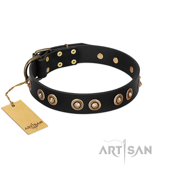 Strong buckle on full grain genuine leather dog collar for your canine