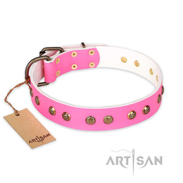 Embellished full grain leather dog collar with durable buckle
