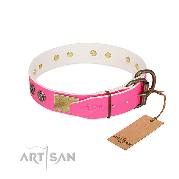 Rust resistant hardware on full grain natural leather collar for walking your canine