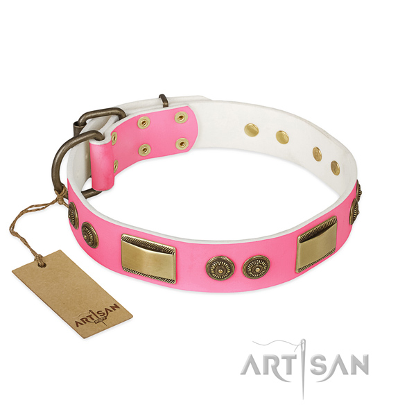 Stunning full grain natural leather dog collar for daily walking