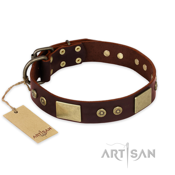 Stunning full grain natural leather dog collar for daily walking